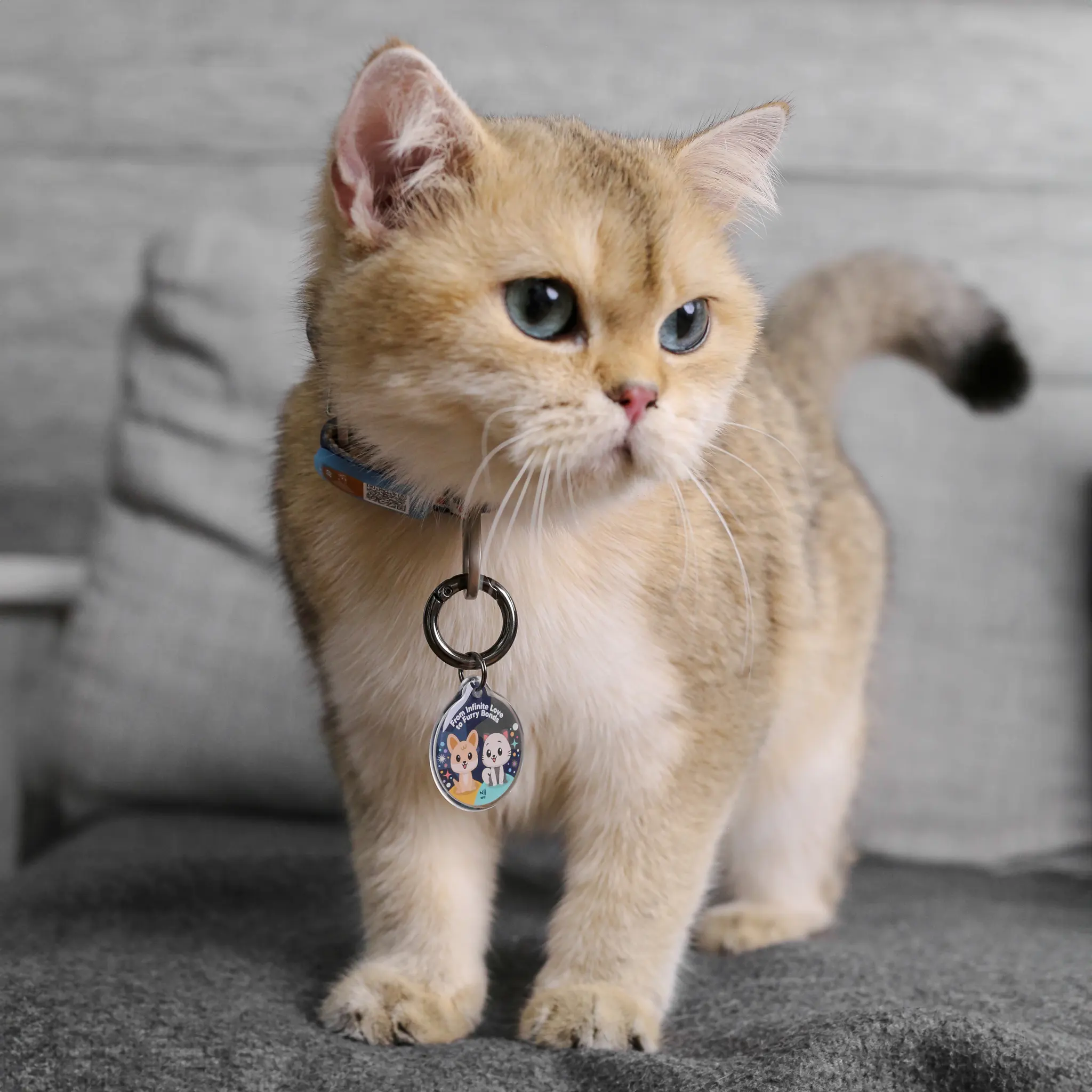 Welcome to Our Store